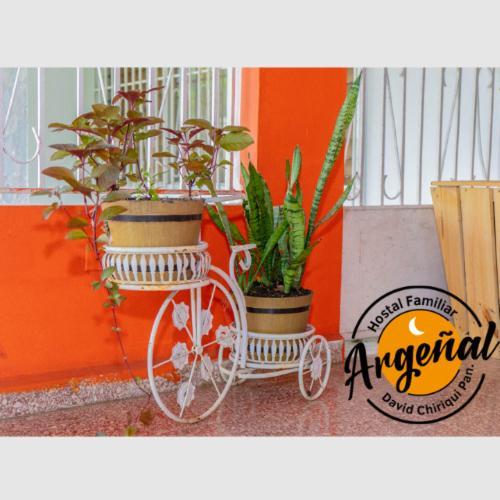 Hostal Familiar Argenal - David Zewnętrze zdjęcie